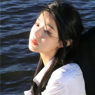 与鲨共游